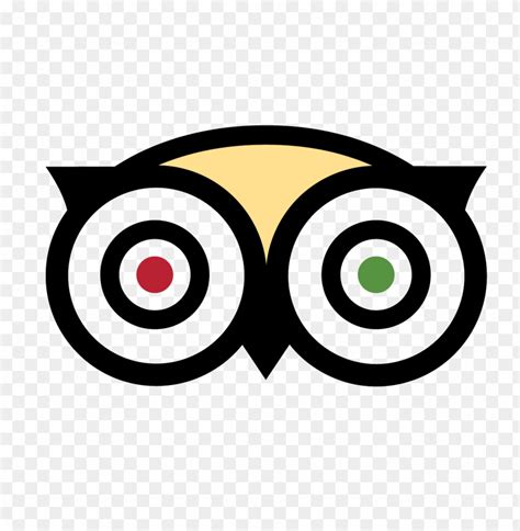 tripadvisor owl|Iba pa.